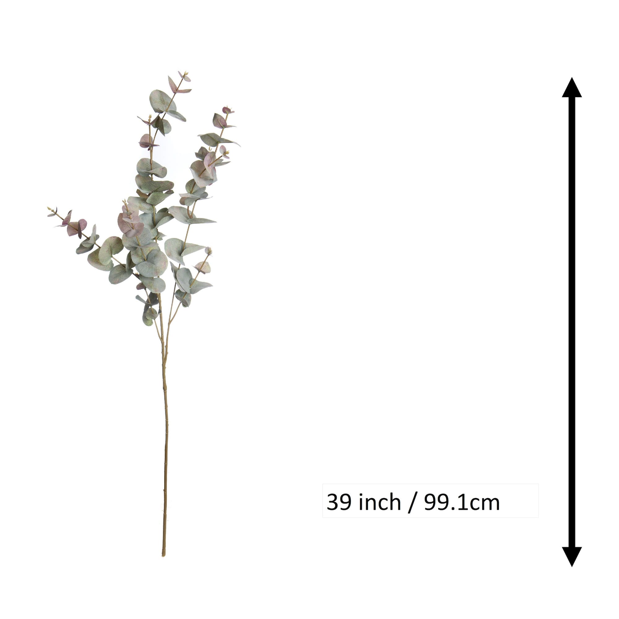 39" Green & Pink Eucalyptus Stem by Ashland®